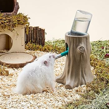 Amazon | BUCATSTATE ハムスター 水飲み ハムスター 給水器